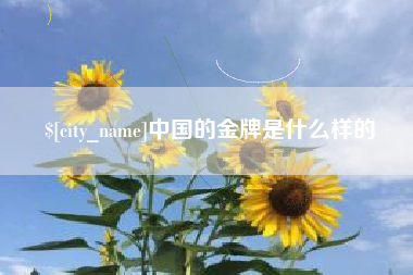 甘南中国的金牌是什么样的