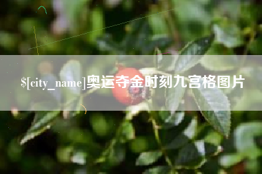 甘南奥运夺金时刻九宫格图片