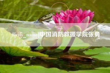 甘南中国消防救援学院张勇
