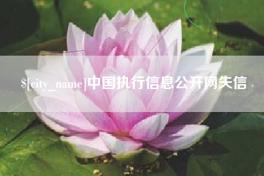 甘南中国执行信息公开网失信