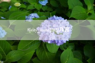甘南2022九宫