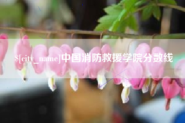 甘南中国消防救援学院分数线