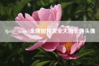 甘南金牌图片大全大图卡通头像
