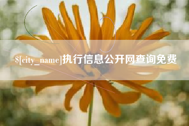 甘南执行信息公开网查询免费