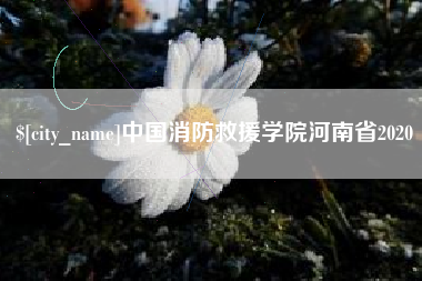 甘南中国消防救援学院河南省2020